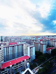 The Rainforest (D23), Condominium #244116021